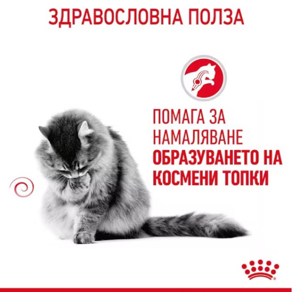 Royal Canin Hairball Care - Пълноценна суха храна за котки над 12 месеца за намаляване образуването на космени топки